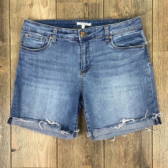 SOLD! STS Blue Becca Bermuda Denim Cutoff Shorts - Picture 2 of 12